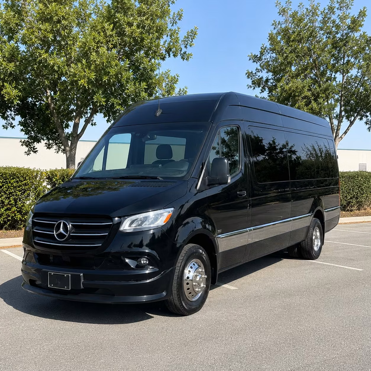 sprinter van with driver