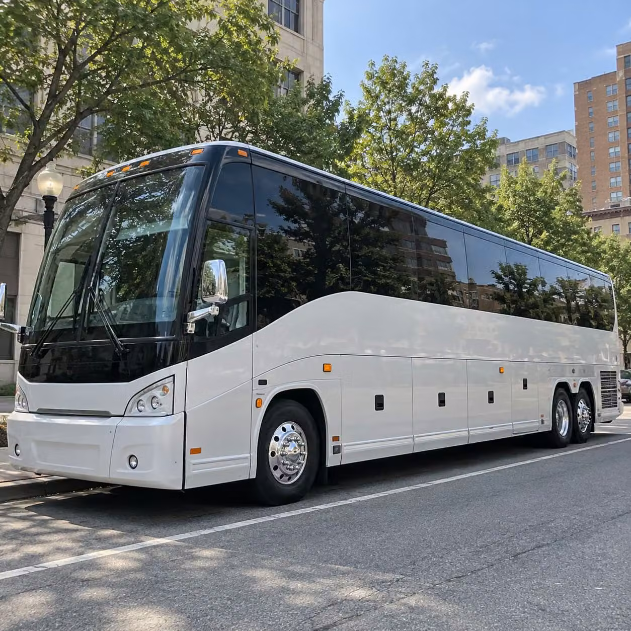 vinelandcharterbus com makes booking vineland after prom transportation just as easy as prom night itself